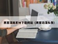 阿克苏黑客漫画素材下载网站（黑客动漫头像）